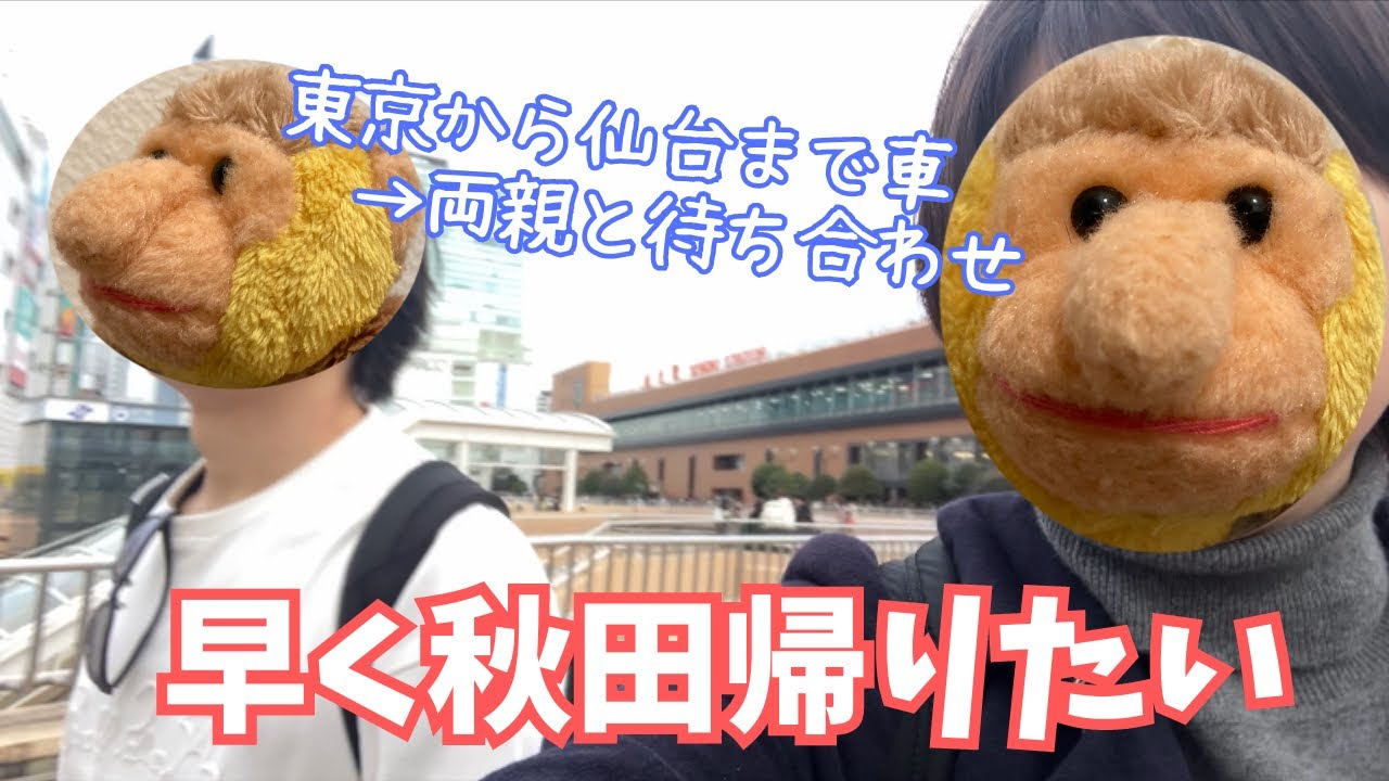 秋田に帰りたいのにまだ仙台？はやく帰りたい【帰省①】
