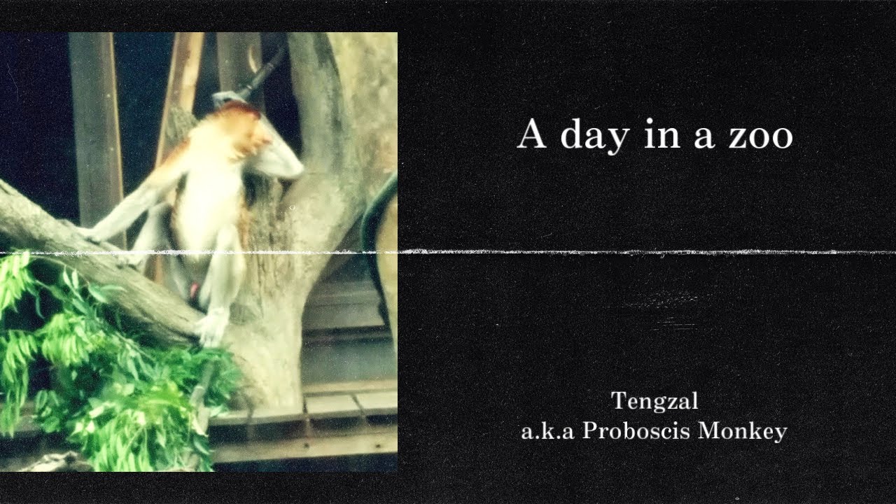 【MV】テングザル a.k.a proboscis monkey-a day in a zoo