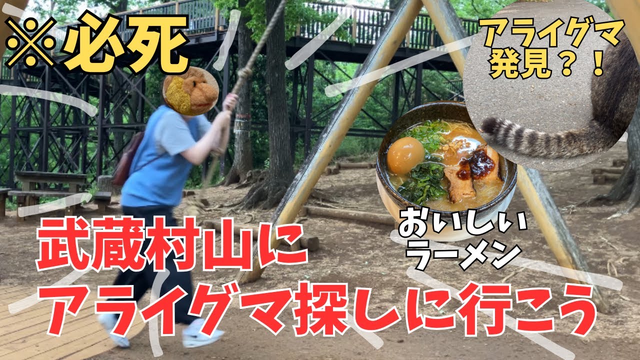 武蔵村山にはアライグマがいるらしい　ラーメン食べて捕獲に向かうアラサー女の休日