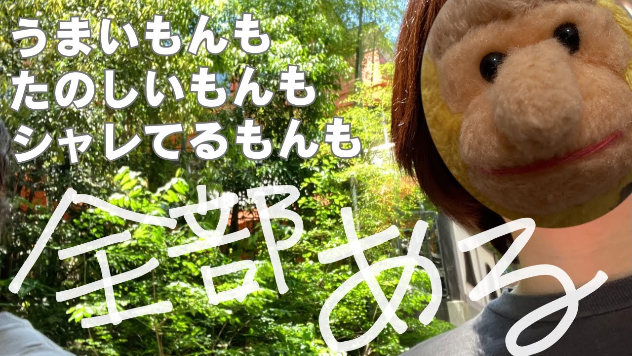 【本田翼】吉祥寺在住カップルの朝さんぽ|本田翼に最近の吉祥寺の様子を教えてあげる動画
