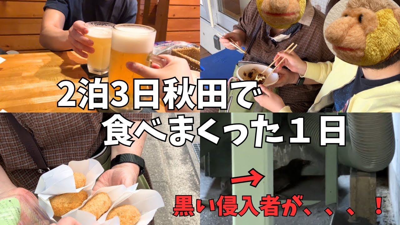 2泊3日秋田で食べまくった１日と黒い侵入者にてんやわんや【帰省後半】吉祥寺在住アラサー女の実家帰省