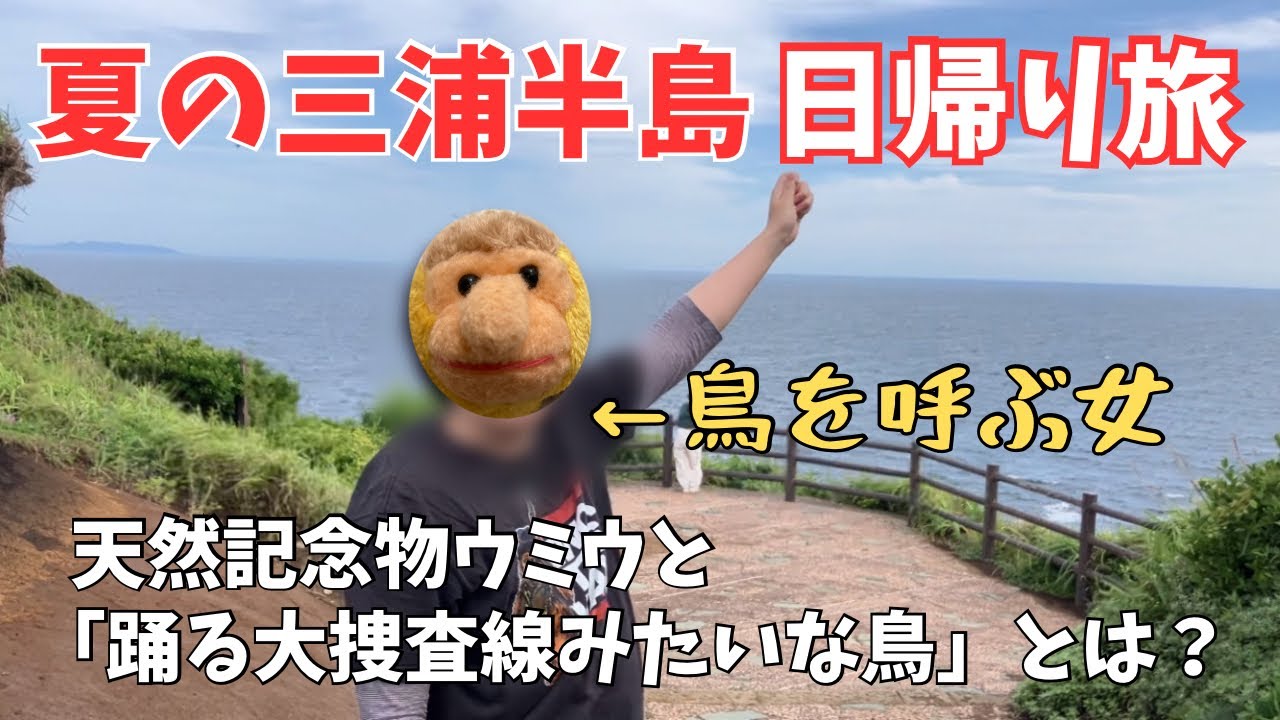 【鳥報】夏の三浦半島で鳥を呼ぶ女&南端城ヶ島へ日帰り旅&ウミウと踊る大捜査線みたいな鳥