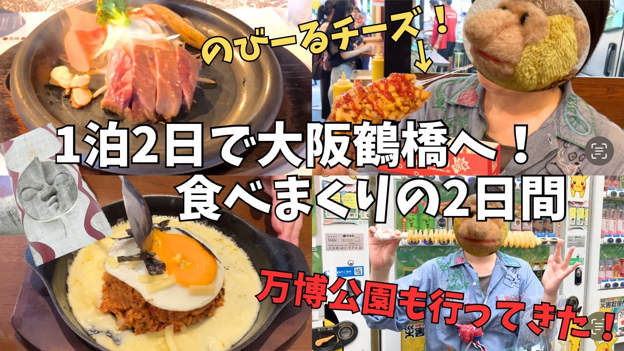 大阪1泊2日で鶴橋食べ歩き！コリアタウン｜万博記念公園｜チーズハットグ｜ヤンニョムチキン｜サーロインステーキ